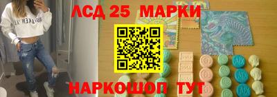 a pvp Новозыбков