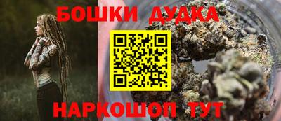 a pvp Новозыбков