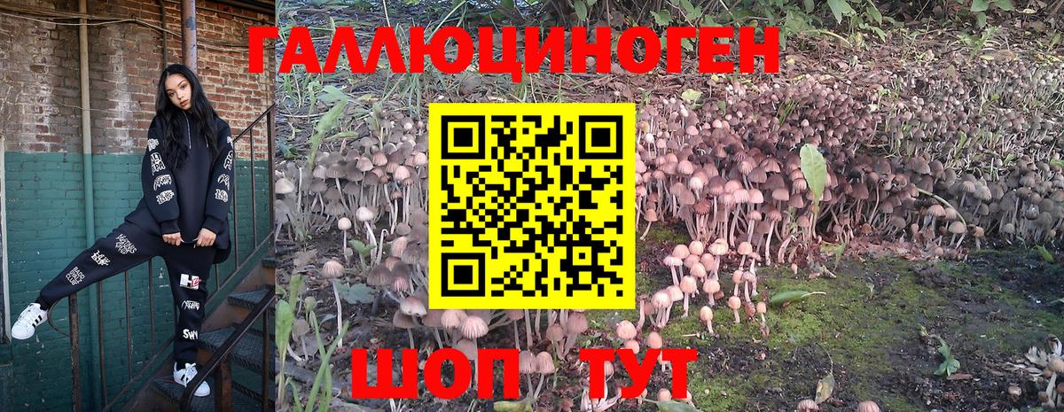 Псилоцибиновые грибы прущие грибы Серпухов